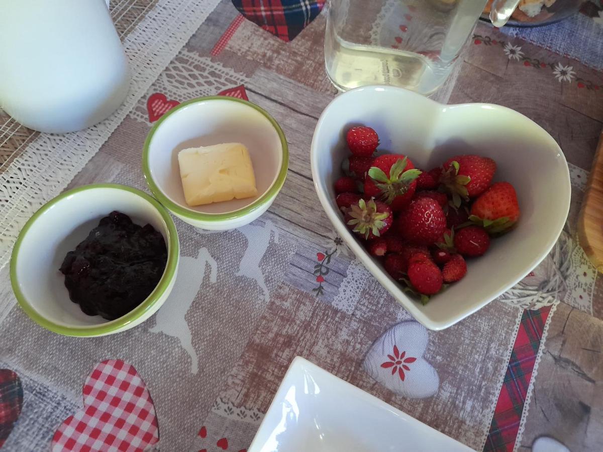 Maso La Marianna Bubble Glamping In Trentino Bed & Breakfast Sant'Orsola Екстериор снимка