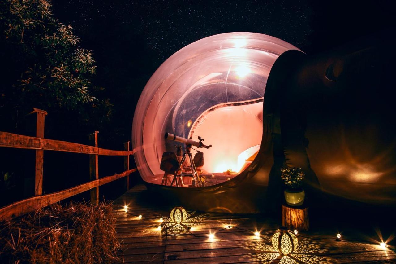 Maso La Marianna Bubble Glamping In Trentino Bed & Breakfast Sant'Orsola Екстериор снимка